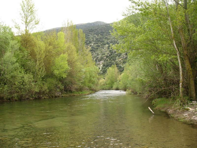 Usún ROMANZADO. Río Salazar