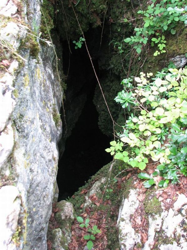 Cueva de Lizarraga I 6