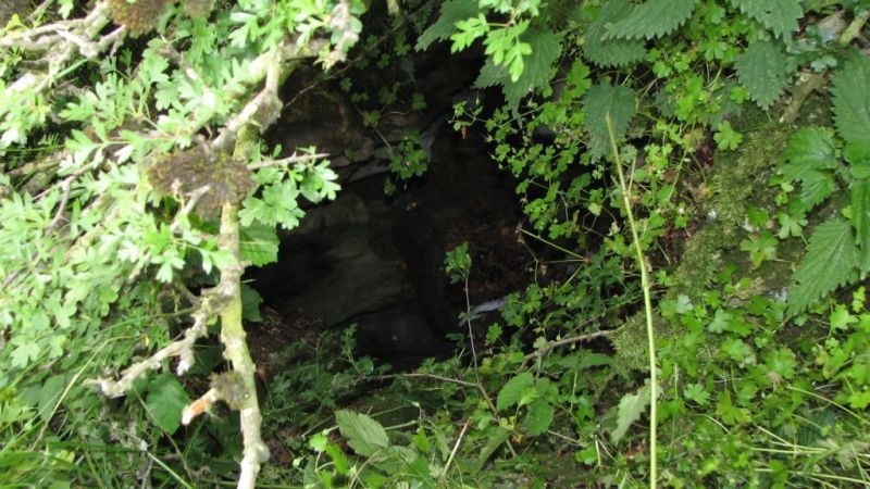 Cueva de Lizarraga II 3