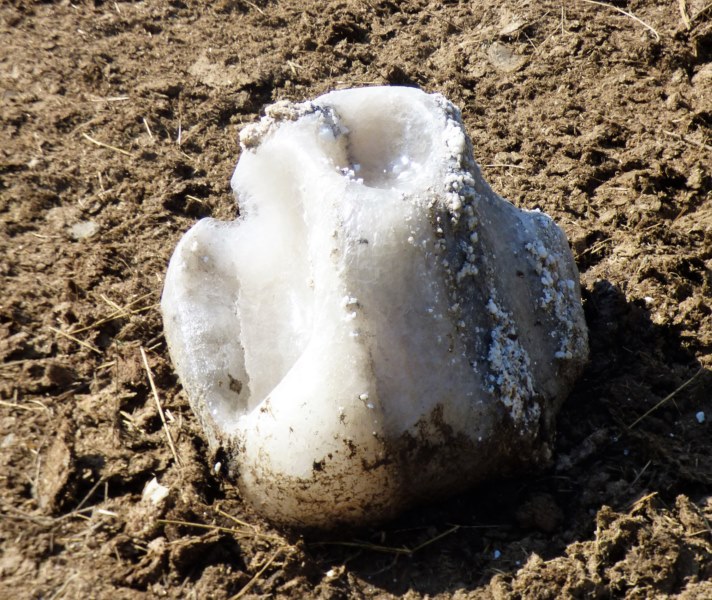 Geología: Piedra de sal cantera.