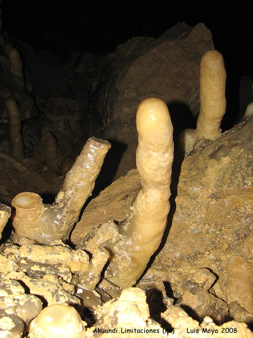 Estalagmitas cactus. Cactus stalagmites. Arleze. Urbasa (Na)