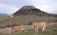 Eguillor. Monte Gazteluzarra de 592 m con ruinas del castillo de Garaño.