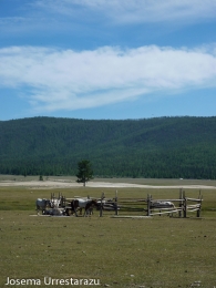 Mongolia. Sus paisajes 9