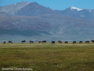 Mongolia. Sus paisajes 7