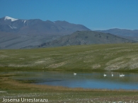 Mongolia. Su fauna 7