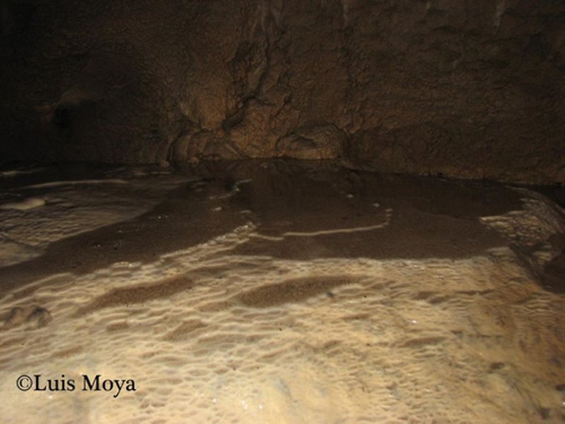 Cueva de Arleze