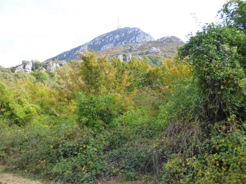 Elomendi o Higa de Monreal (1.295 m.).