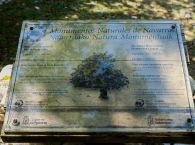 Tejo de Otsaporillo-Otsaportilloko Hagina