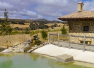 Legarda. Ermita de Santa Cecilia. 9