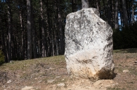 Arriurdin (Menhir-Zutarria)