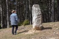 Arriurdin (Menhir-Zutarria)