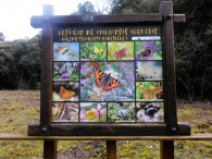 Zúñiga / Zuñiga. Junto al apeadero de Arquijas (1924).