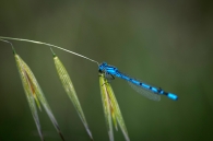 Concurso de Fotografía 2026