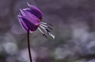 Concurso de Fotografía 2026 3