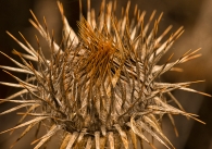 Concurso de Fotografía 2026 4