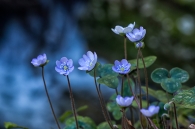 Concurso de Fotografía 2026 6