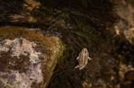 Concurso de Fotografía 2026 8