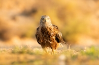 Concurso de Fotografía 2026 10