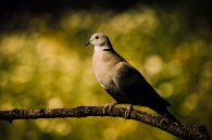 Concurso de Fotografía 2026