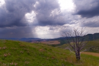 Concurso de Fotografía 2026 2