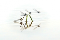 Concurso de Fotografía 2026