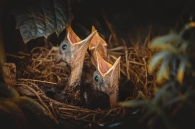 Concurso de Fotografía 2026 2