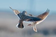 Concurso de Fotografía 2026 2