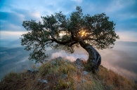 Concurso de Fotografía 2026 5