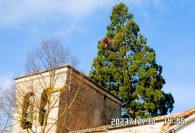 Aizoáin - Aitzoain BERRIOPLANO. Iglesia de Sta. Águeda 7