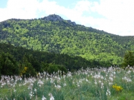 Ayechu / Aietxu, URRA�L ALTO. Monte Aldasur (1190 m.)