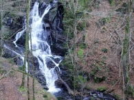 Torrente Txaruta 2