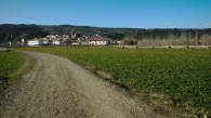 Funes