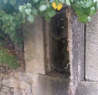 Garrués / Garrues  EZCABARTE. Pozo.