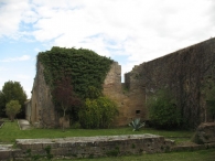 Monasterio de La Oliva / CARCASTILLO 10