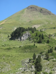 Larra ISABA. El Pico Arl�s (2.044 m.)