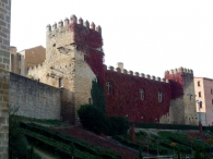 Castillo de Olite
