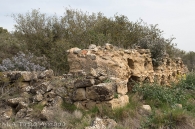 La Falconera II.Tafalla
