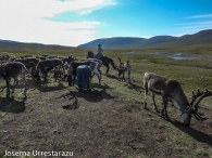 Mongolia. Su fauna 6