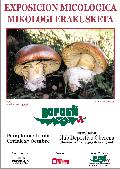Cartel de la exposici�n 2002