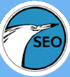 Web de SEO